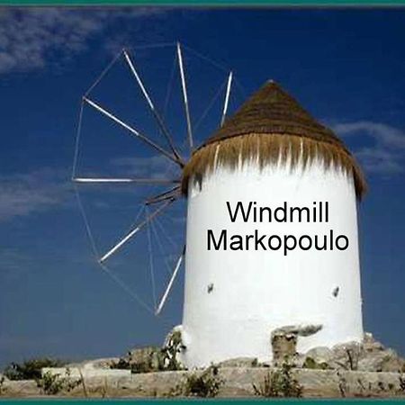 Athens 24-Hours Hostel #Athensairport #Latecheck-In #Privatetransportservice #Groups #Downtown Markópoulon 外观 照片